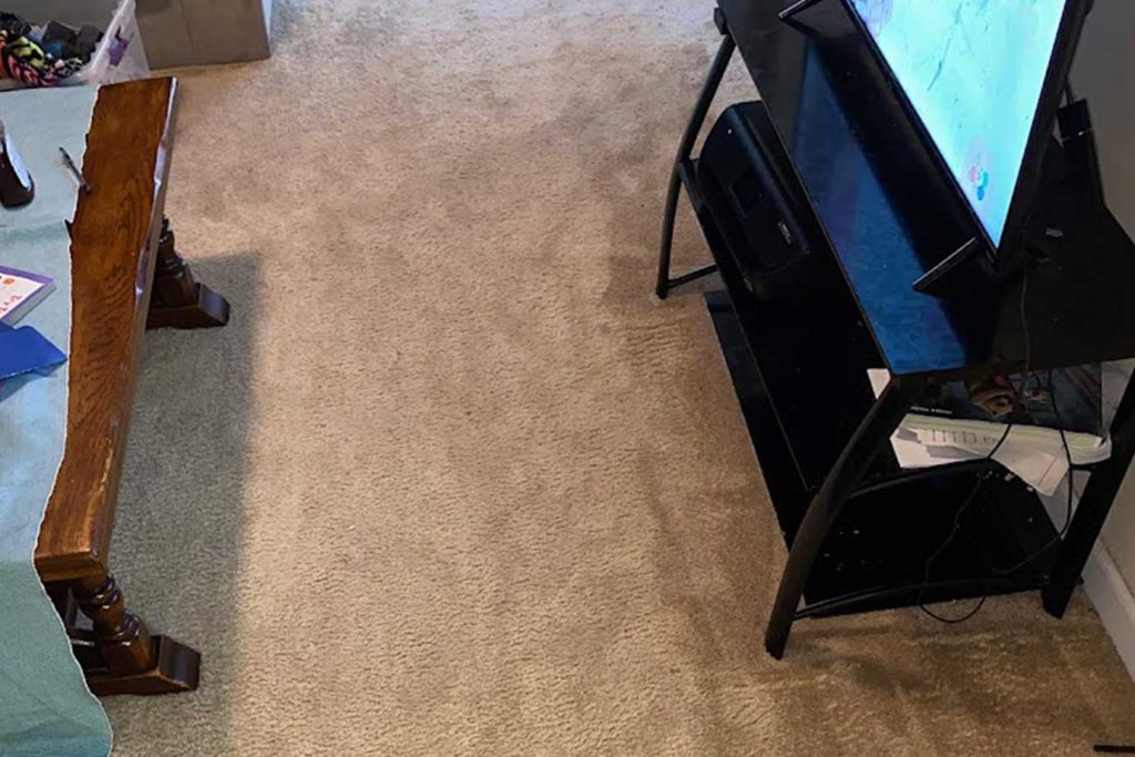 Real Clean Carpet Care Carpet Cleaning Fayetteville NC