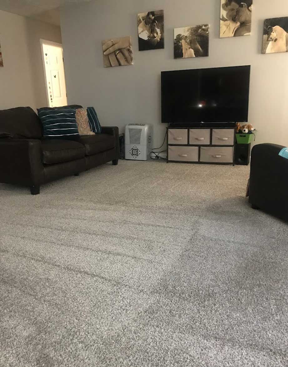 Real Clean Carpet Care Carpet Cleaning Fayetteville NC